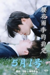 樱花雨季的约定